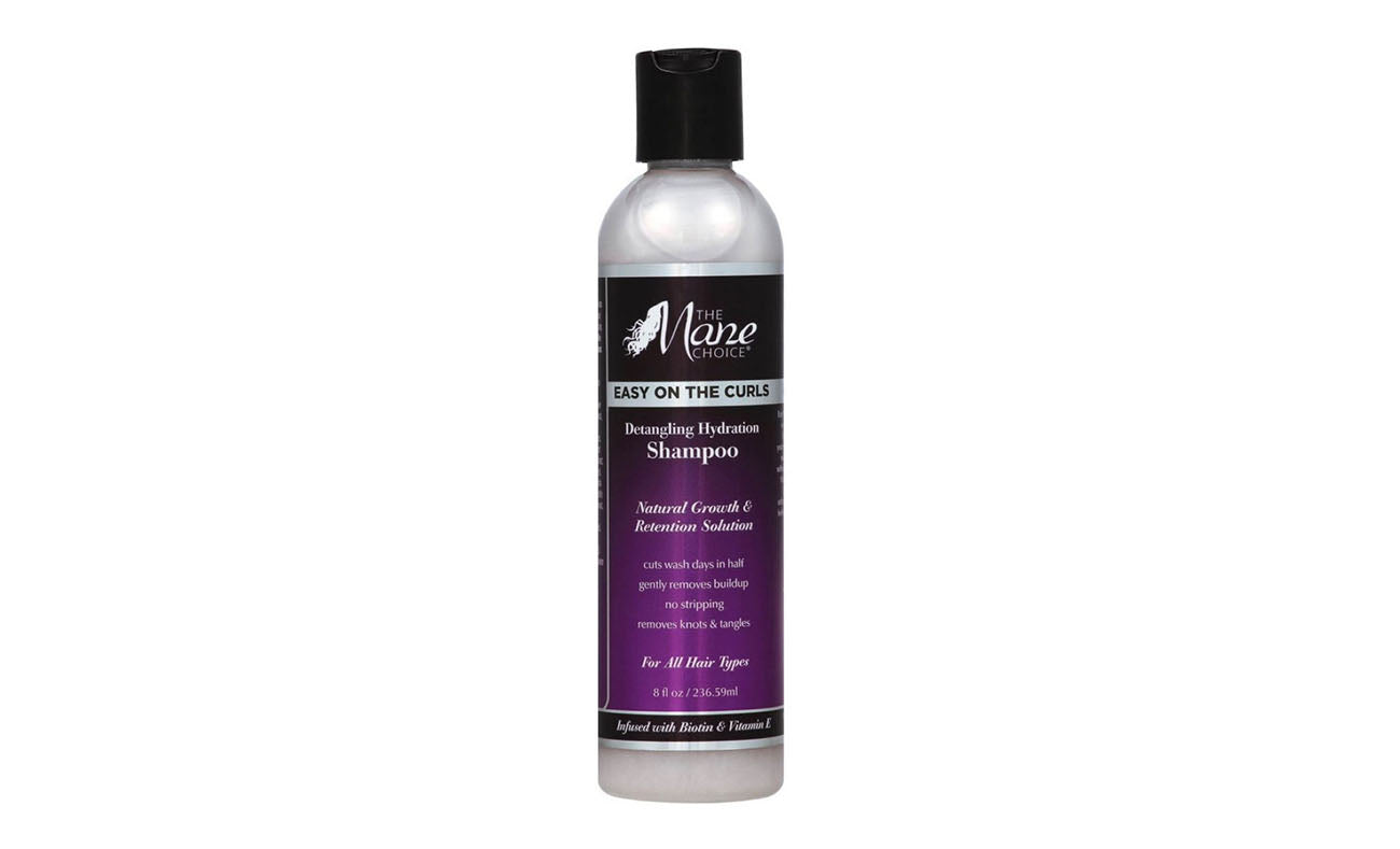 The Mane Choice Easy on the Curls Detangling Hydration Shampoo - 8 fl oz.